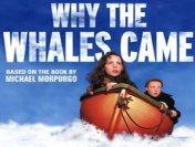Why the Whales Come