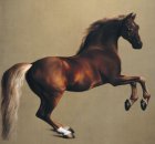 Stubbs and the Horse